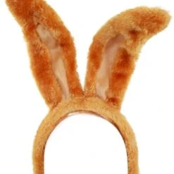 Diadeem Konijnenoren Bruin