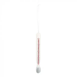 Thermometer XL